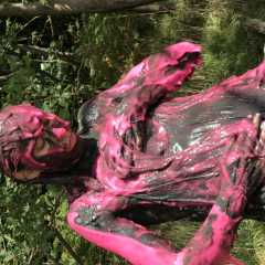 img1474_1503697024_uid_84339_23004.jpg
