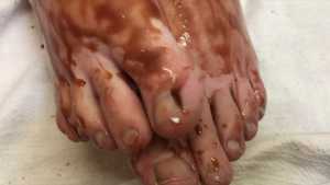 chocolate-muff-in-creamed-dripping-fan_1