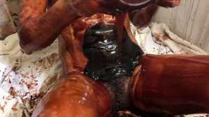 chocolate-muff-in-creamed-dripping-fan_2