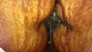 chocolate-muff-in-creamed-dripping-fan_2