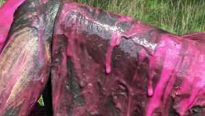 cute-girl-muddy-and-gunged-in-pink_22.jp