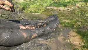 cute-girl-muddy-and-gunged-in-pink_6.jpg