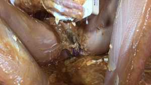 horrendous-disgusting-45-minute-food-gu_