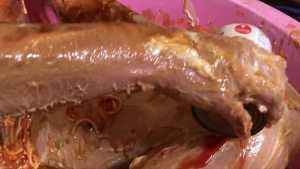 horrendous-disgusting-45-minute-food-gu_