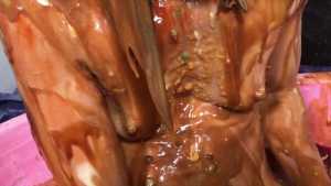 horrendous-disgusting-45-minute-food-gu_