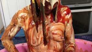 horrendous-disgusting-45-minute-food-gu_