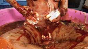 horrendous-disgusting-45-minute-food-gu_