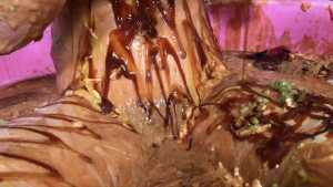horrendous-disgusting-45-minute-food-gu_