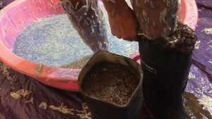 spaghetti-gunge-clingfilm-and-mud_17.jpg