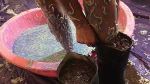 spaghetti-gunge-clingfilm-and-mud_18.jpg